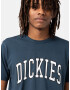 DICKIES Tricou 'Aitkin' albastru / alb - Pled.ro