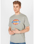 DICKIES Tricou 'Icon Logo' albastru regal / galben citron / gri amestecat / roși aprins / alb - Pled.ro