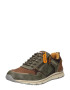 Dockers by Gerli Sneaker low maro / galben auriu / oliv - Pled.ro