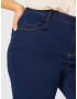 Dorothy Perkins Curve Jeans 'Ellis' indigo - Pled.ro