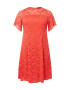 Dorothy Perkins Curve Rochie corai - Pled.ro