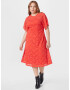 Dorothy Perkins Curve Rochie corai - Pled.ro