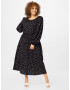 Dorothy Perkins Curve Rochie negru / alb - Pled.ro