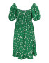 Dorothy Perkins Maternity Rochie verde / alb - Pled.ro