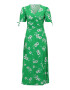 Dorothy Perkins Petite Rochie de vară verde / alb - Pled.ro