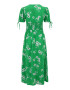 Dorothy Perkins Petite Rochie de vară verde / alb - Pled.ro