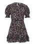 Dorothy Perkins Petite Rochie 'Ditsy' gri metalic / verde jad / roz / roz pal / alb - Pled.ro