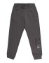 EA7 Emporio Armani Pantaloni gri închis / negru / alb - Pled.ro