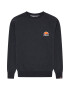 ELLESSE Bluză de molton ' Haverford W' gri amestecat - Pled.ro