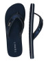 ESPRIT Flip-flops albastru / bleumarin - Pled.ro