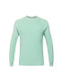 ESPRIT Pulover verde pastel - Pled.ro