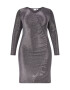 EVOKED Rochie argintiu - Pled.ro