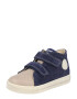 Falcotto Pantofi 'MICHAEL' bleumarin / gri deschis - Pled.ro