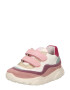 Falcotto Sneaker 'AMANTEA' verde pastel / roz pitaya / roz pal / alb - Pled.ro