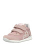 Falcotto Sneaker roz / alb - Pled.ro