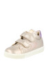 Falcotto Sneaker 'SASHA' auriu - roz / mov deschis - Pled.ro