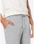 FARAH Pantaloni 'DURRINGTON' gri deschis - Pled.ro