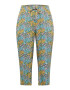 Fransa Curve Pantaloni albastru aqua / galben / roz / alb - Pled.ro