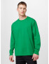 G-Star RAW Tricou verde iarbă / alb - Pled.ro