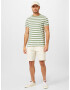 GANT Tricou verde / alb - Pled.ro