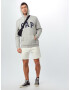 GAP Bluză de molton 'FLEECE ARCH' gri deschis - Pled.ro