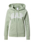 GAP Hanorac gri / verde pastel / alb - Pled.ro