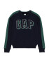 GAP Pulover bleumarin / verde smarald / alb - Pled.ro