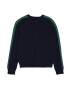 GAP Pulover bleumarin / verde smarald / alb - Pled.ro