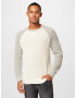 GAP Pulover gri / alb natural - Pled.ro