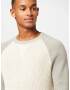 GAP Pulover gri / alb natural - Pled.ro