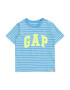 GAP Tricou azuriu / verde kiwi / alb - Pled.ro