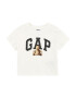 GAP Tricou 'BRANNAN' maro / negru / alb murdar - Pled.ro