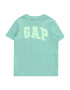 GAP Tricou 'FRAN' verde / verde mentă - Pled.ro