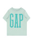 GAP Tricou turcoaz / verde pastel - Pled.ro