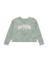 GAP Tricou verde / verde pastel / roz - Pled.ro