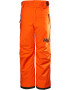 HELLY HANSEN Pantaloni outdoor 'LEGENDARY' portocaliu / negru - Pled.ro