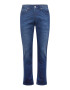 Herrlicher Jeans 'Tyler' albastru / maro deschis - Pled.ro