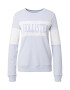 HOLLISTER Bluză de molton 'DTC M4M SECONDARY TECH CORE LOGO PO 4CC' albastru - Pled.ro