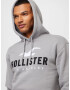 HOLLISTER Bluză de molton gri / negru / alb natural - Pled.ro