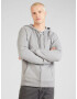 HOLLISTER Hanorac gri fumuriu / negru / alb - Pled.ro