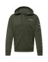 HOLLISTER Hanorac verde - Pled.ro