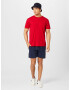 HOLLISTER Pantaloni albastru regal / alb - Pled.ro