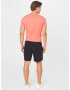 HOLLISTER Pantaloni 'BTS SPORT SHORT 4CC' negru - Pled.ro