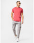 HOLLISTER Pantaloni cu buzunare 'SHARKSKIN' gri deschis - Pled.ro