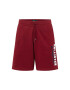 HOLLISTER Pantaloni 'EMEA' bleumarin / roșu vin / alb - Pled.ro