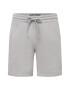 HOLLISTER Pantaloni gri - Pled.ro