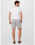 HOLLISTER Pantaloni gri - Pled.ro