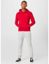 HOLLISTER Pantaloni gri amestecat - Pled.ro