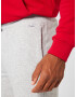 HOLLISTER Pantaloni gri amestecat - Pled.ro