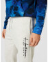 HOLLISTER Pantaloni gri deschis - Pled.ro